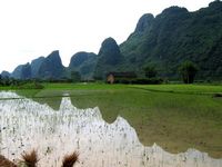 Rizieres et Pains de Sucre - Yangshuo