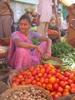Couleurs du Marché
